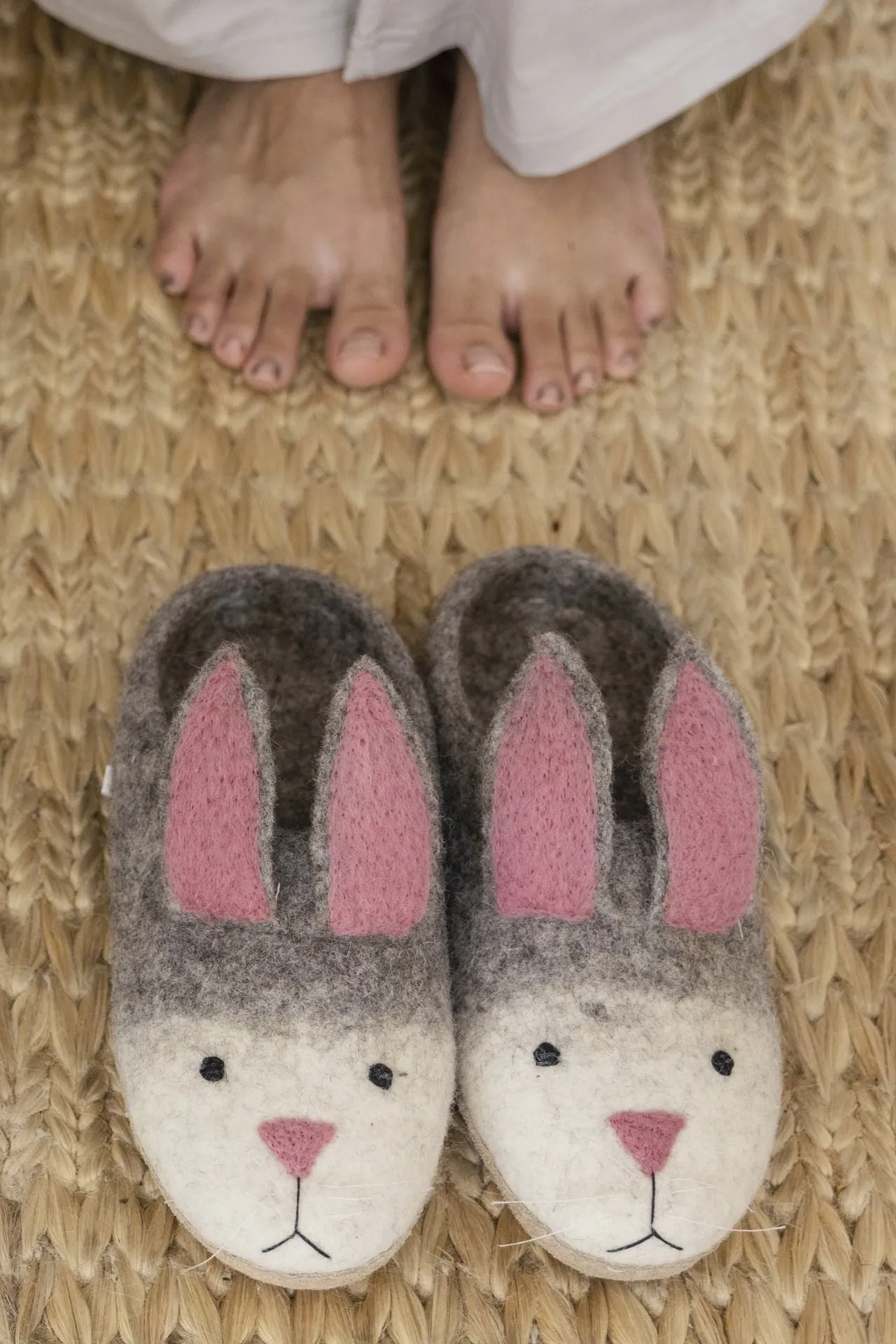 Felt Animal Slippers